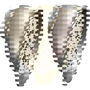 @ CCY 1F SHWRD 1.75 BN