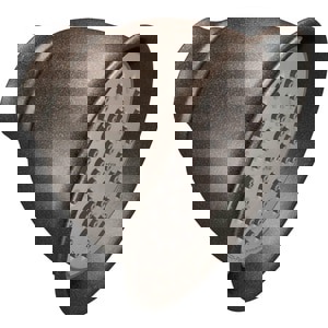 @ CCY 1F SHWRD 1.75 ORBR