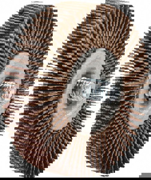 Mounted Flap Wheel: 1/2