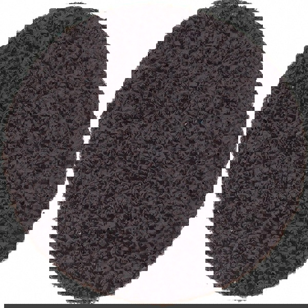 Quick-Change Disc: Roloc TR, 2