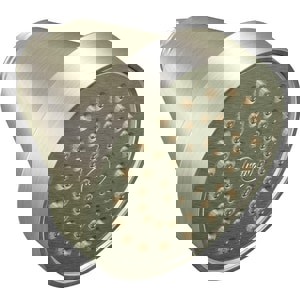 CCN LVL SHWRHD ONLY 1F BN 2.5 GPM