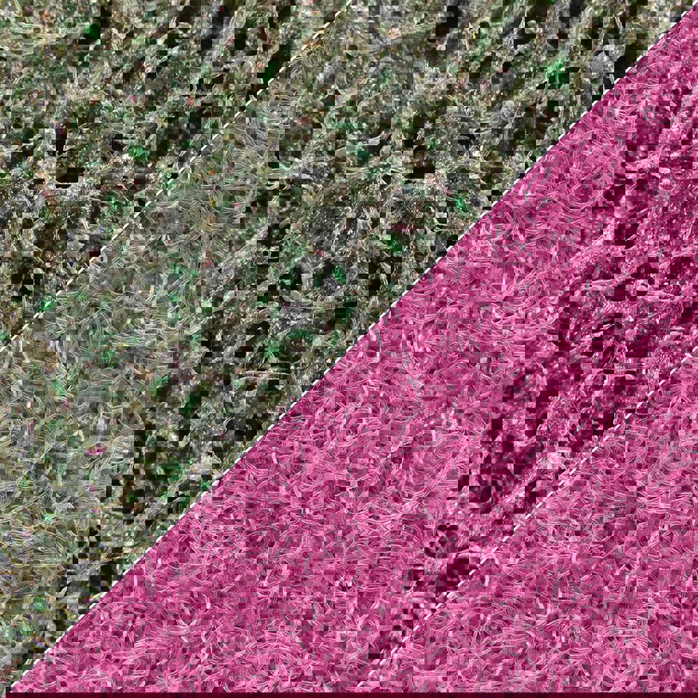 Abrasive Belts; Belt Width (Inch): 1 ; Belt Length (Inch): 132 ; Grade: Fine ; Abrasive Type: Non-Woven ; Abrasive Material: Aluminum Oxide ; Wet/Dry Operation: Wet/Dry