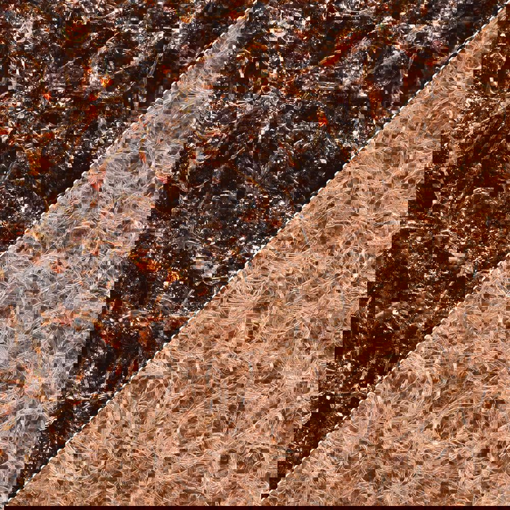 Abrasive Belts; Belt Width (Inch): 2 ; Belt Length (Inch): 60 ; Grade: Coarse ; Abrasive Type: Non-Woven ; Abrasive Material: Aluminum Oxide ; Wet/Dry Operation: Wet/Dry