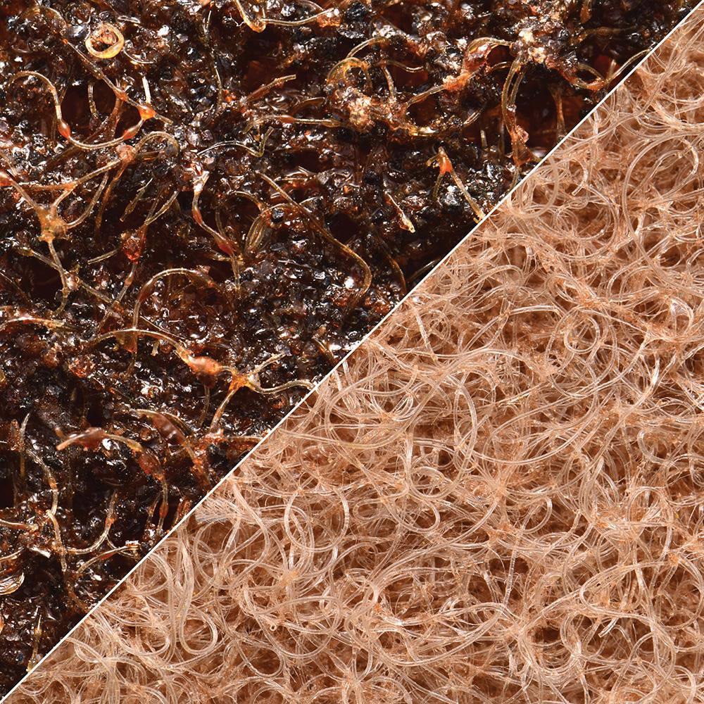 Abrasive Belts; Belt Width (Inch): 2 ; Belt Length (Inch): 72 ; Grade: Coarse ; Abrasive Type: Non-Woven ; Abrasive Material: Aluminum Oxide ; Wet/Dry Operation: Wet/Dry