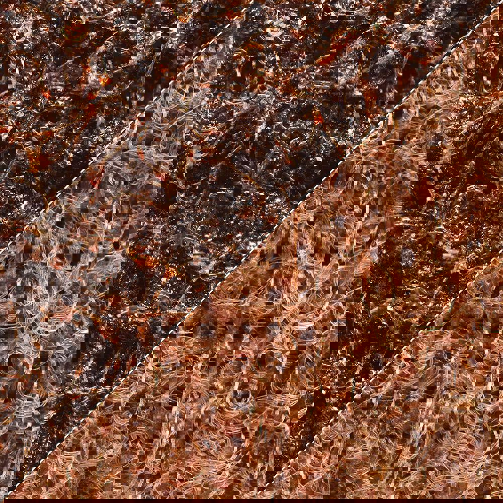 Abrasive Belts; Belt Width (Inch): 4 ; Belt Length (Inch): 168 ; Grade: Coarse ; Abrasive Type: Non-Woven ; Abrasive Material: Aluminum Oxide ; Wet/Dry Operation: Wet/Dry