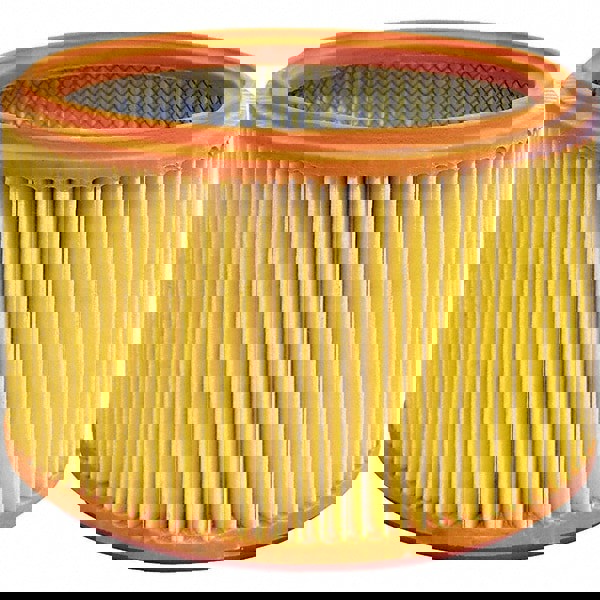 Vacuum Cleaner Cartridge Filter: Dry Pickup