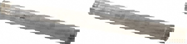 Stainless Steel Pipe Nipple: 3/4