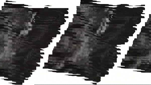 Chemical Resistant Gloves: Size Large, 50.00 Thick, Polyvinylchloride, Supported,