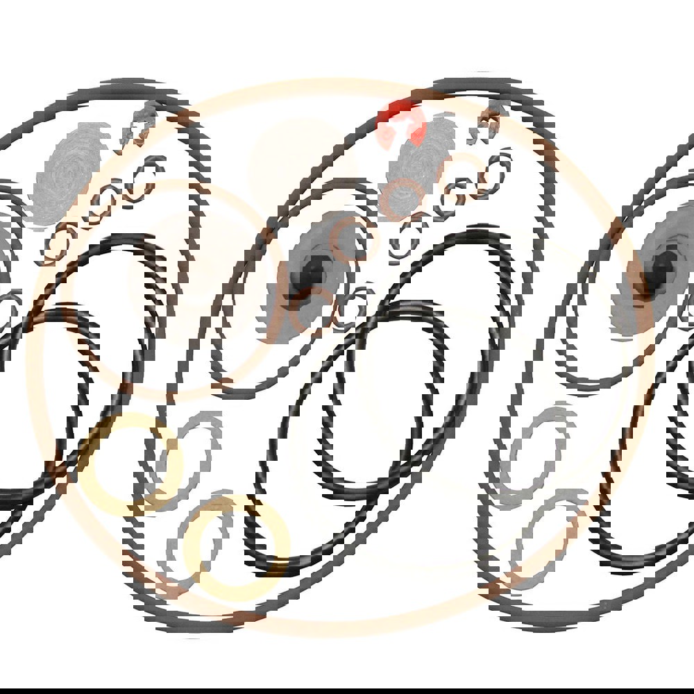 Garden & Pump Sprayer Repair Kit