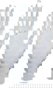 PWDR LTX DISPBL GLV LG 100 PK