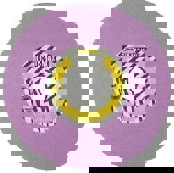 Surface Grinding Wheel: 12