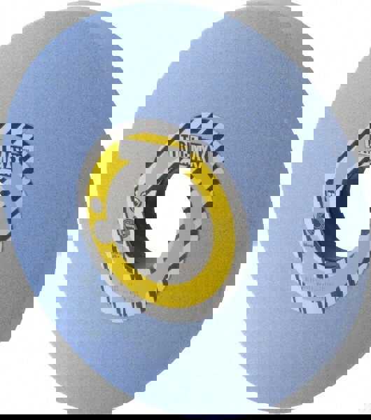 Surface Grinding Wheel: 12