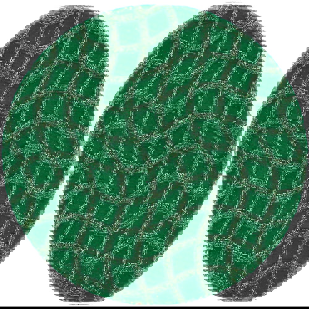 Quick-Change Disc: Speed-Lok TR, 2