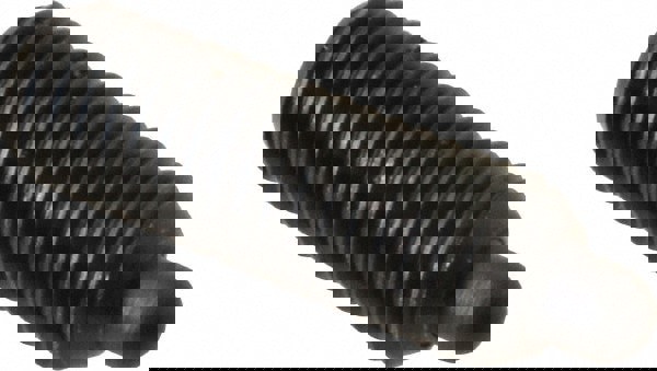 Threaded Spring Plunger: M10 x 1.5, 29 mm Thread Length, 4.72 mm Dia, 5 mm Projection