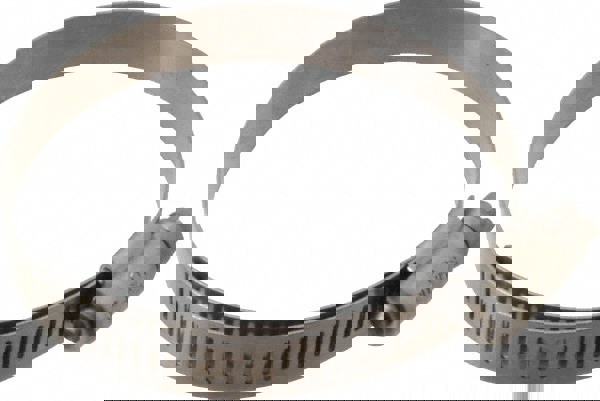 Worm Gear Clamp: SAE 40, 2-1/16 to 3