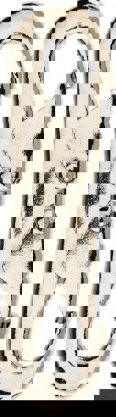 Double Snap: 300 lb Load Capacity