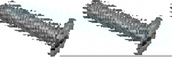 Sheet Metal Screw: #6, Pan Head, Slotted Drive, 1-1/4