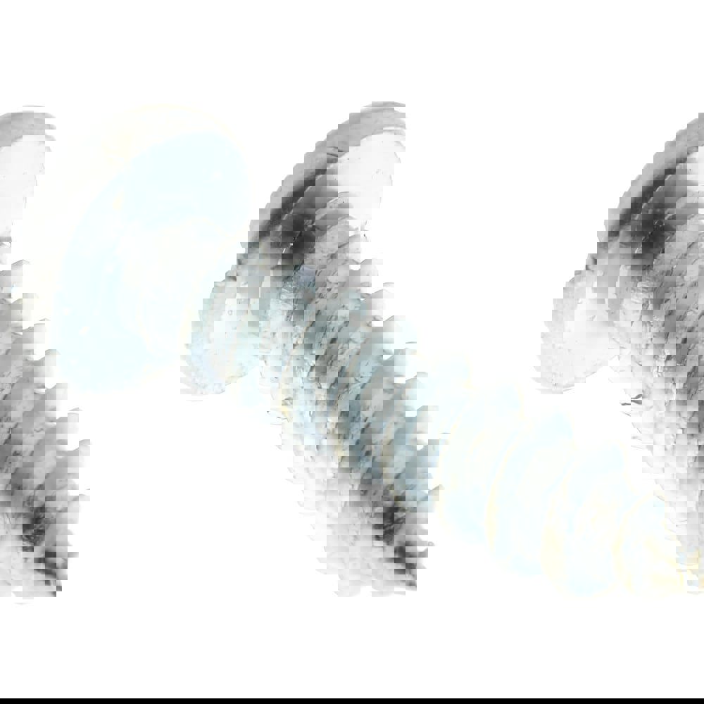 Sheet Metal Screw: #8, Pan Head, Slotted Drive, 3/4