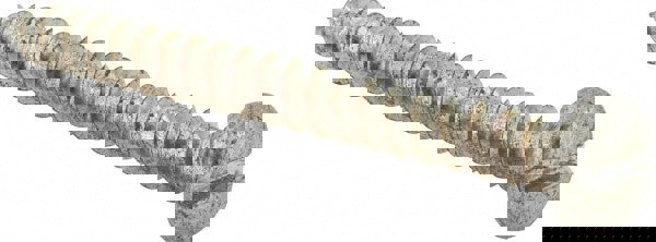 Sheet Metal Screw: #10, Pan Head, Slotted Drive, 2