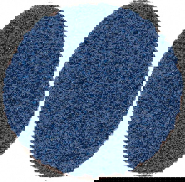 Quick-Change Disc: 1