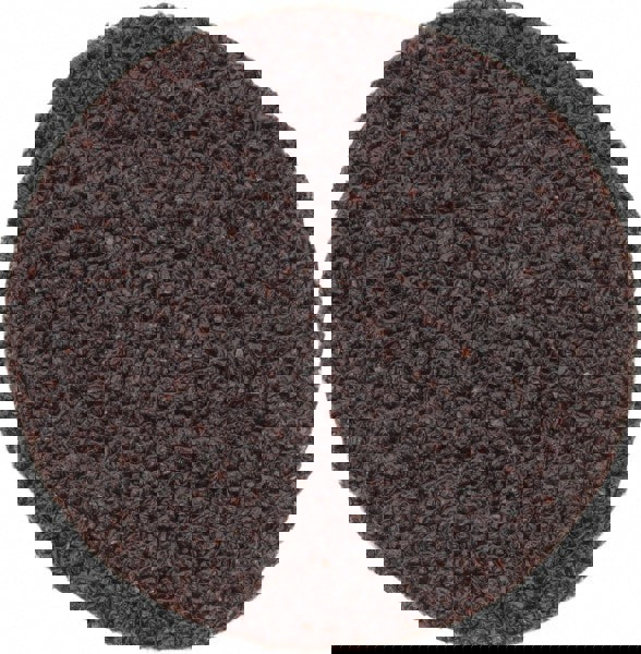 Quick-Change Disc: Roloc TR, 2