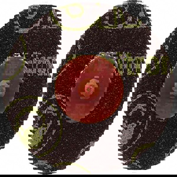 Quick-Change Disc: Roloc TR, 3