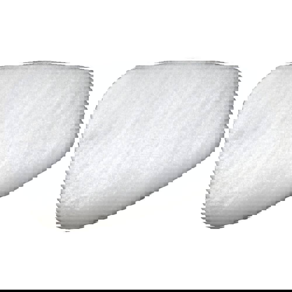 Facepiece Filter: Particulates