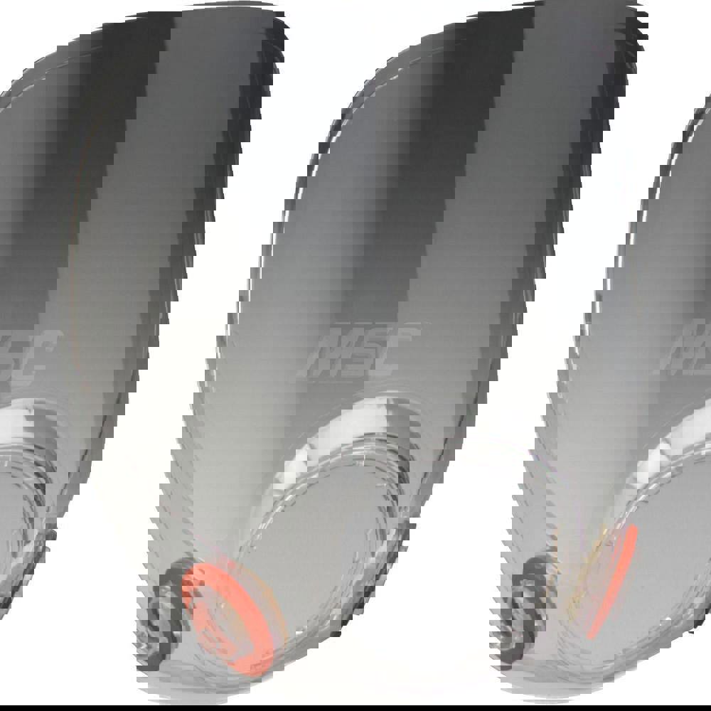 Facepiece Replacement Lens: Plastic