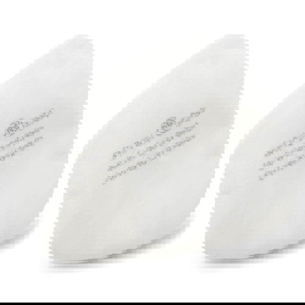 Facepiece Filter: Particulates