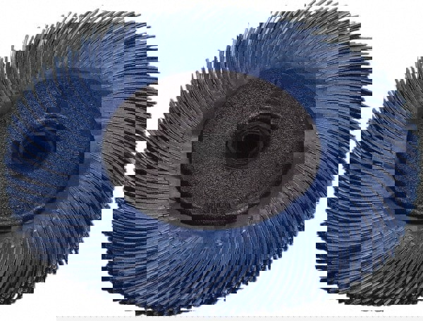 Radial Bristle Brush: Plain Arbor Connection, 1