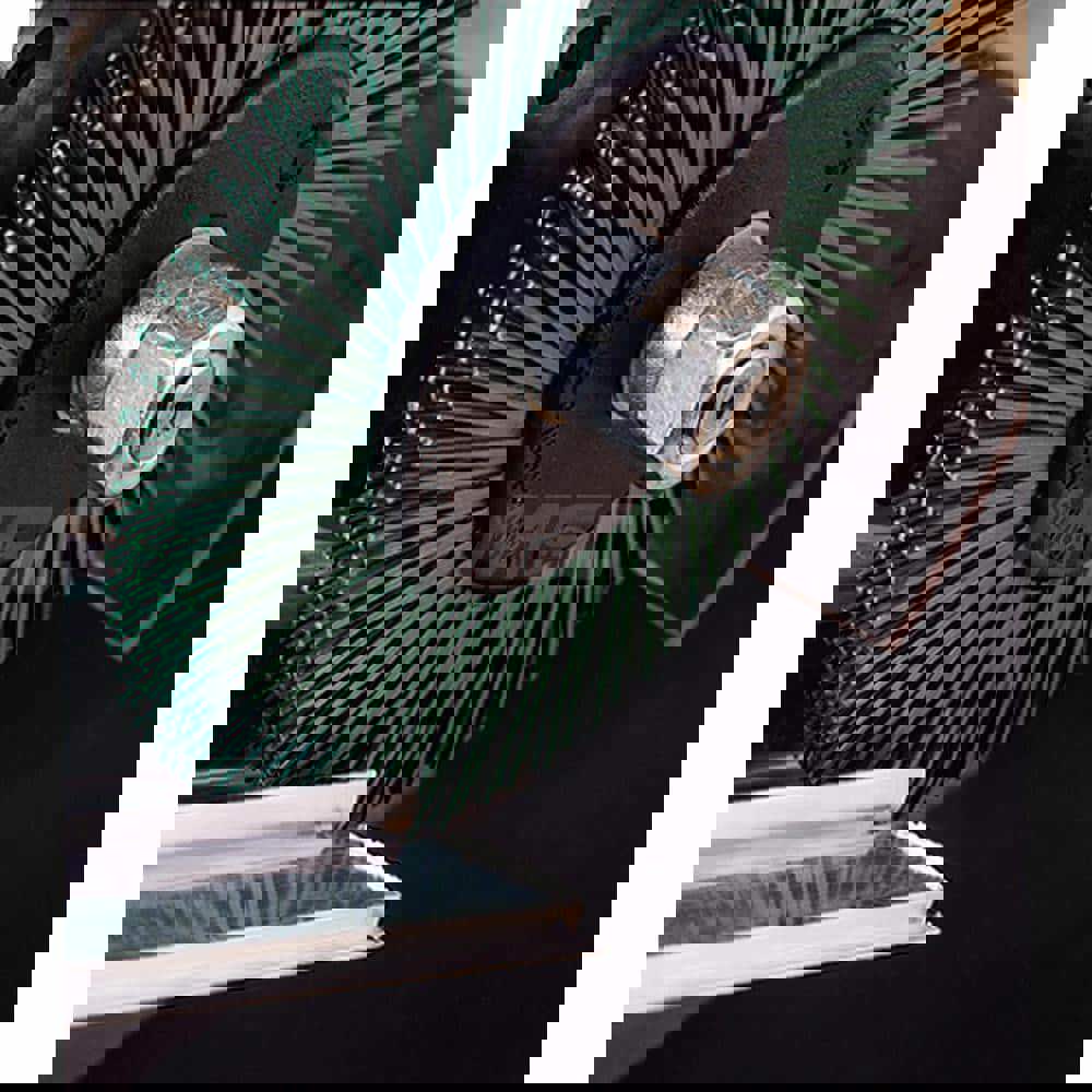 Radial Bristle Brush: 6