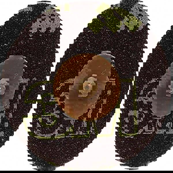 Quick-Change Disc: Roloc TR, 3