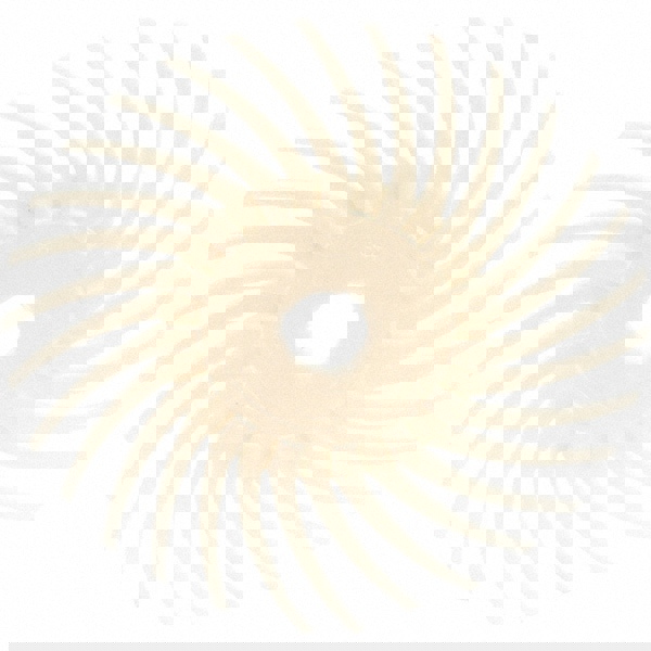 Radial Bristle Brush