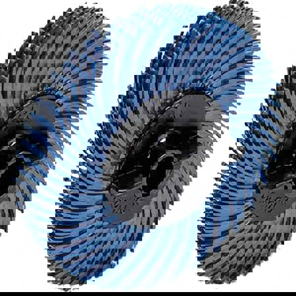 Radial Bristle Brush