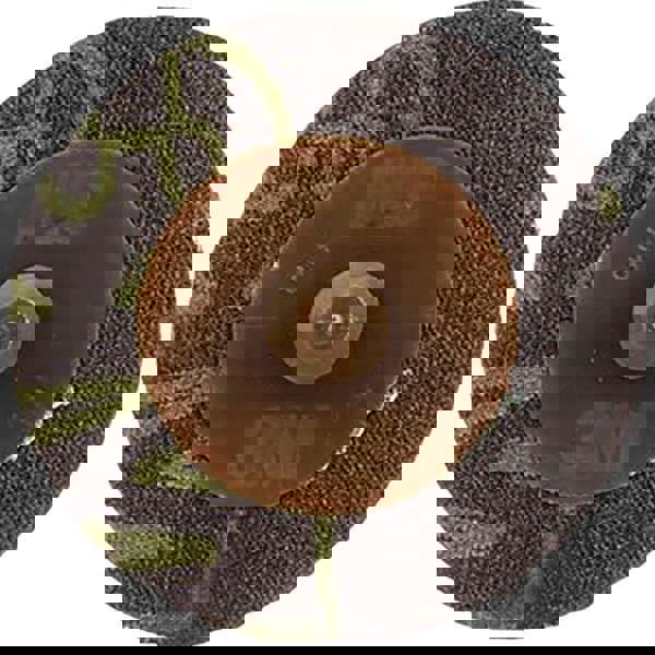 Quick-Change Disc: Roloc TR, 1