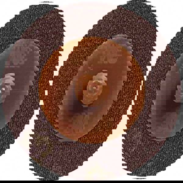 Quick-Change Disc: Roloc TR, 3