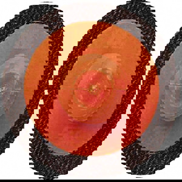 Quick-Change Disc: Roloc TR, 1-1/2