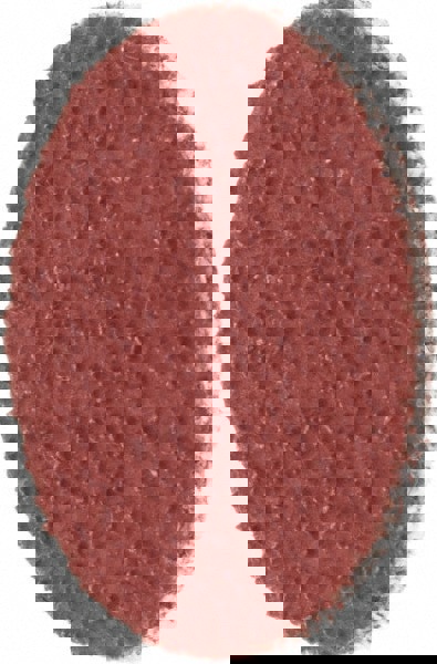 Quick-Change Disc: Ceramic, Coated