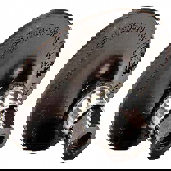 Disc Backing Pad: Quick-Change Type R