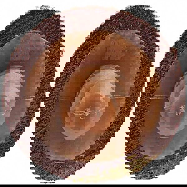 Quick-Change Disc: Roloc TR, 1