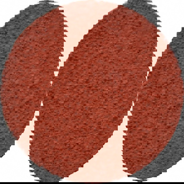 Quick-Change Disc: Roloc TR, 1-1/2