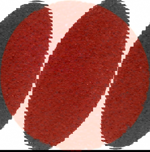 Quick-Change Disc: Roloc TR, 2