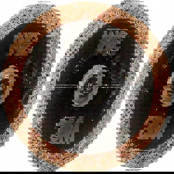 Quick-Change Disc: Roloc TR, 1-1/2