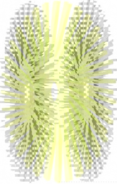 Radial Bristle Brush