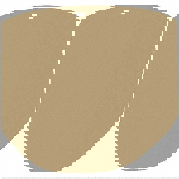 Face Shield Windows & Screens: Face Shield Window, Clear, 9