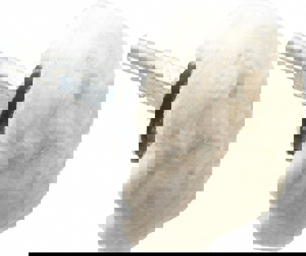 Mounted Polishing Bob: Mushroom Shape, 2