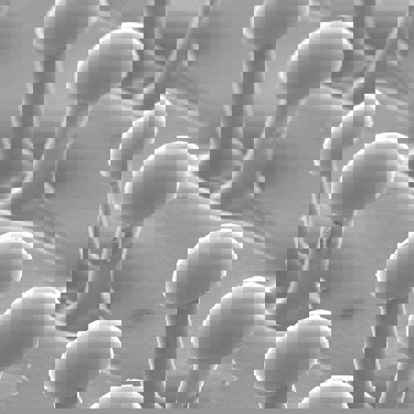 Disc Backing Pad: Hook & Loop