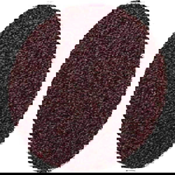 Quick-Change Disc: Roloc TSM, 1-1/2