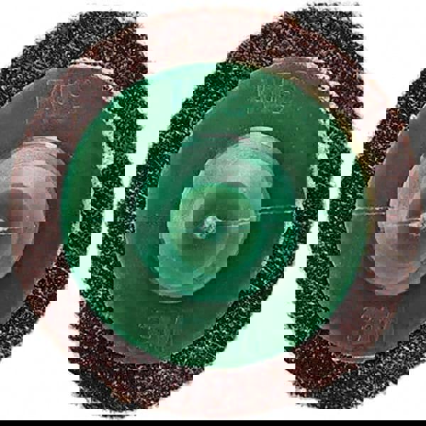 Quick-Change Disc: Roloc TR, 1-1/2