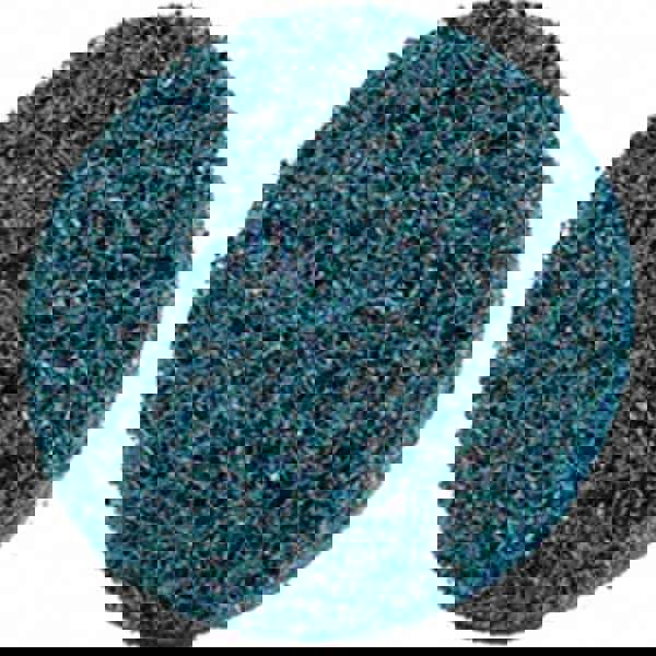 Quick-Change Disc: Roloc TSM, 2